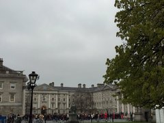 IMG_6468