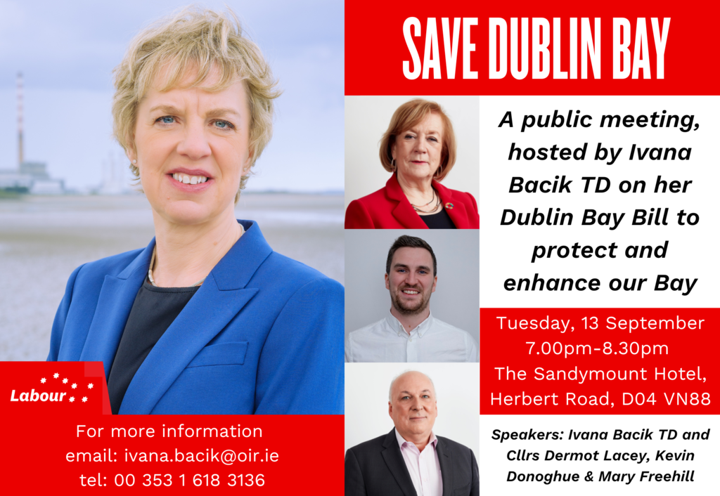 Draft Dublin People Ad for Public Meeting