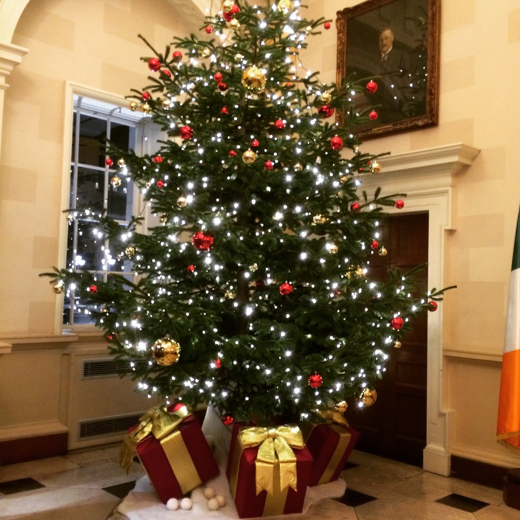 Merry Christmas and Happy New Year 2016 from Leinster House